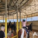 이순신승마센터 이미지