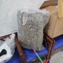 함평해수찜 | 광주 근교 이색 여행지 전남 함평 해수찜 치유센터 내돈내산 후기