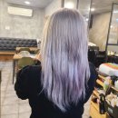 은빛여우미용실 이미지