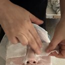 상아약국 | 방학역 해피트리 얼굴윤곽관리 후기 도봉구 파워트리 괄사 리프팅