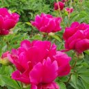 원재한의원 이미지