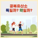 그린독 이미지