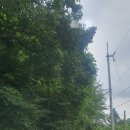 까페오월 | 춘천 계곡카페 오월정원 내돈내산 후기