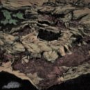 구병산과 속리산의 관통, 바위 마루금 충북알프스 종주 이미지