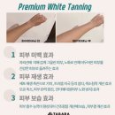 타바태닝 | 잠실화이트태닝 맛집 타바라뷰티태닝 잠실본점 방문 후기