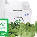 둥구머리협동조합 이미지