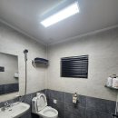 남이섬설리조트4 | 강원도 춘천 애견동반 리조트 남이섬설리조트