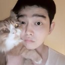 코리아헬스라이프