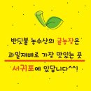 신성농수산