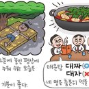 [예쁜 말 바른 말] '대자'와 '대짜' 이미지