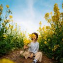 숲안어린이공원 이미지