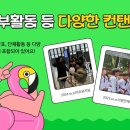 경희대 부부 무향 태권도장 이미지