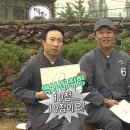 너울너울