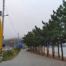 남호해수욕장 이미지