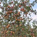 성정농장 이미지