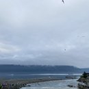 대신부화장 이미지