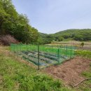 김명수 농장 이미지