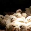 현성농장 이미지