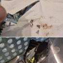조각다방 이미지