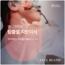 셀리앤의원 | 줄기세포를 이용해서 볼륨셀지방이식을? 충분히 가능한 셀리앤의원