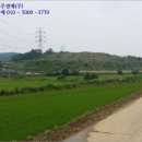 삼월리 이미지