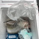 보광수산 이미지