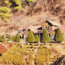 치악산둘레길 9코스 자작나무길 이미지