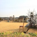 여주참숯 이미지