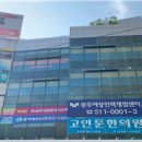 플라워케이크지도사(앙금플라워떡케이크) 이미지