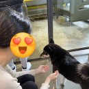 왈왈이애견카페웨스턴돔점 이미지