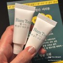 주식회사 데일리영 | [브랜드를 맞춰라!] 밤티 크림 샘플 체험 후기 - 올리브영 2/27 공개