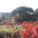 웰빙플러스 이미지