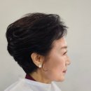 샬롬미