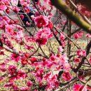 메디캐슬 이미지