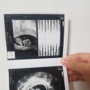 의료법인 마리아의료재단 마리아의원 이미지