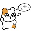 매스씨앤지 이미지