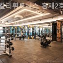 스타칼리 이미지