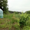 원스농장 이미지