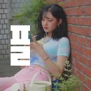 플 이미지