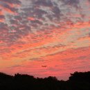 (주)미리내 이미지