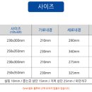 디에스팩