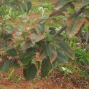 김포시농업기술센터 이미지