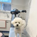 홍글몽글 - 남구 중앙로156번길 44 | 홍글몽글