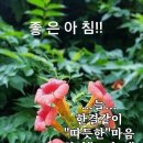 消滅時效(소멸시효)