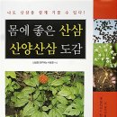 신충수외과 뉴시스