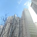 첨단연신로 이미지