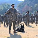 육군 군견훈련소 이미지