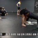 레드윙 복싱 이미지