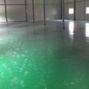 회성동163 이미지