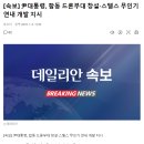 [속보] 尹, 합동 드론부대 창설·스텔스 무인기 연내 개발 지시 이미지